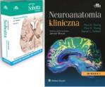 Neuroanatomia kliniczna + Anatomia Sobotta Flashcards. Neuroanatomia Angielskie mianownictwo anatomiczne