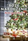 Bardzo proste czytanki dla dzieci. Boże Narodzenie