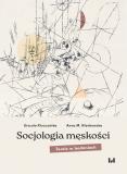 Socjologia męskości