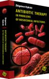 Antibiotic therapy in the issues of nosocomial infection